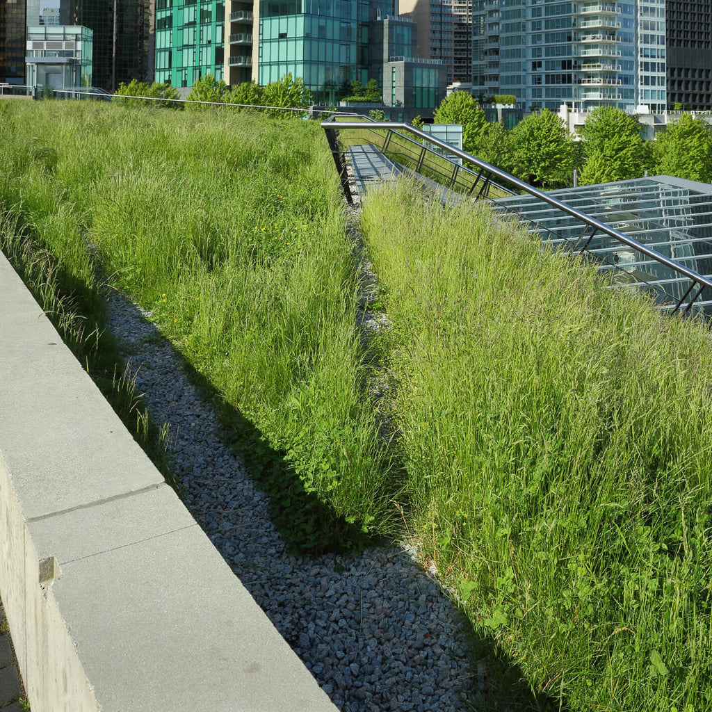 Soil Bed Green Roof (GR600)