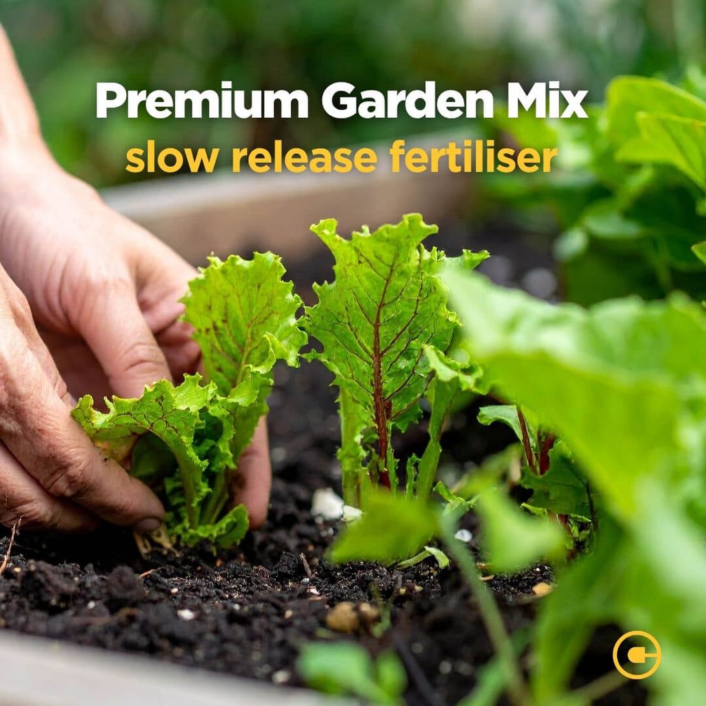 Premium Garden Mix