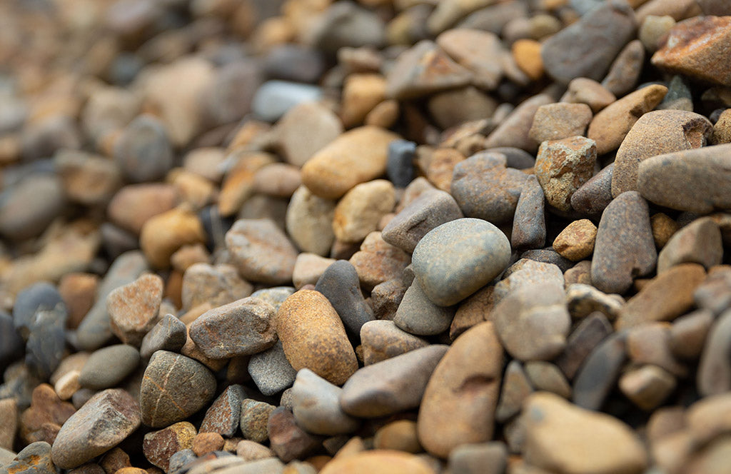 Mangatangi Gold 5/25